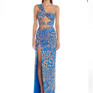 Eliya the label dress - worn once